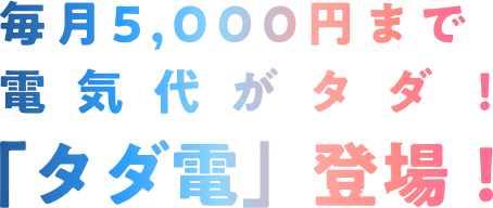 【2026年最新】タダ電は本当に毎月5,000円無料？仕組み・評判・疑問を実体験で徹底解説